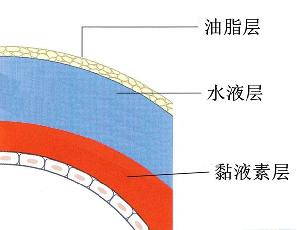 干眼癥,眼睛干澀,干眼治療,惠州希瑪眼科醫院